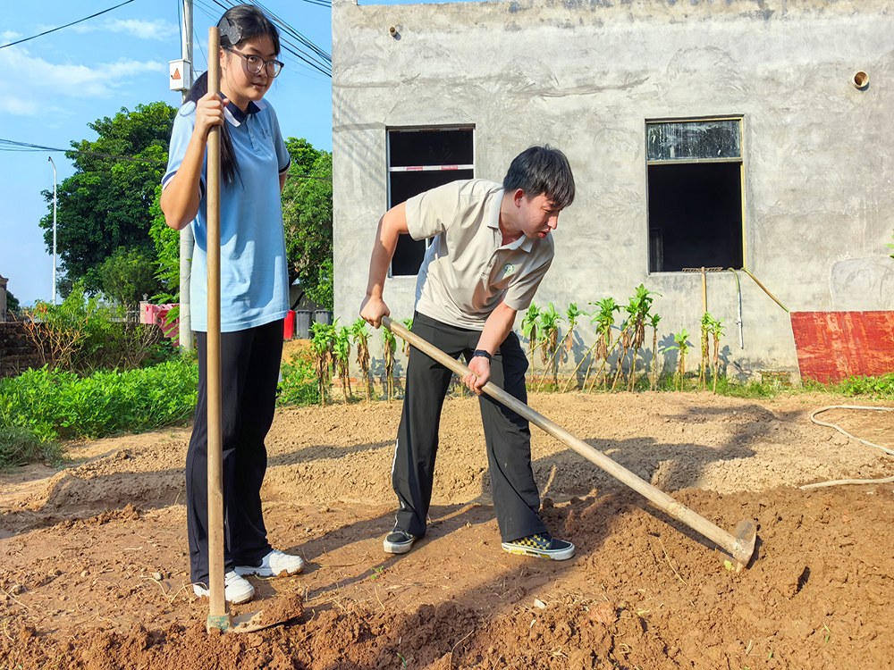 东莞有资质的叛逆少年纠正学校具体位置在哪
