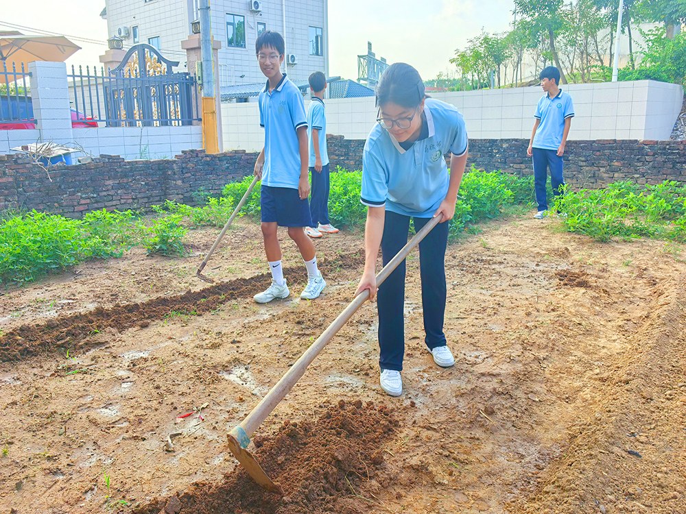东莞正规青少年成长学校联系电话